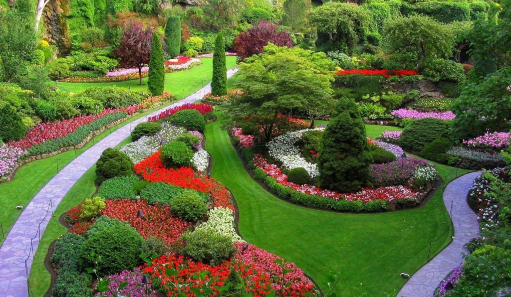 Vivai mirabelli per il giardino di casa tua bbls group Giardini di casa